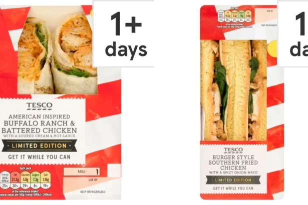 Tesco has overhauled its meal deal with 17 summer items - including a pulled beef brisket sandwich served in a sugar-topped doughnut brioche roll with candied jalapeños.