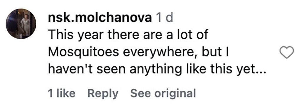 Visitors to a Russian beauty spot were trapped in their cars by a biblical swarm of mosquitoes so thick it turned the sky grainy - and the plague is expected to last for days.