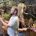 Couple travel eight hours to get engaged in a sloth enclosure - beside the animal she adopted four years ago