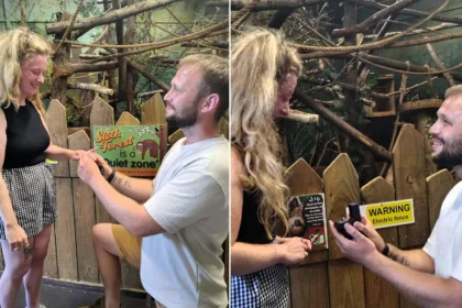 Couple travel eight hours to get engaged in a sloth enclosure - beside the animal she adopted four years ago