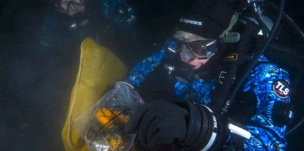 Scientists have discovered a compound in an Antarctic sea creature that showed promise against melanoma cells, raising hopes for future skin cancer treatments.