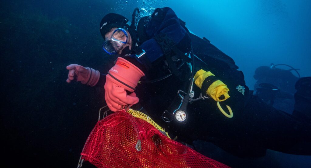 Scientists have discovered a compound in an Antarctic sea creature that showed promise against melanoma cells, raising hopes for future skin cancer treatments.