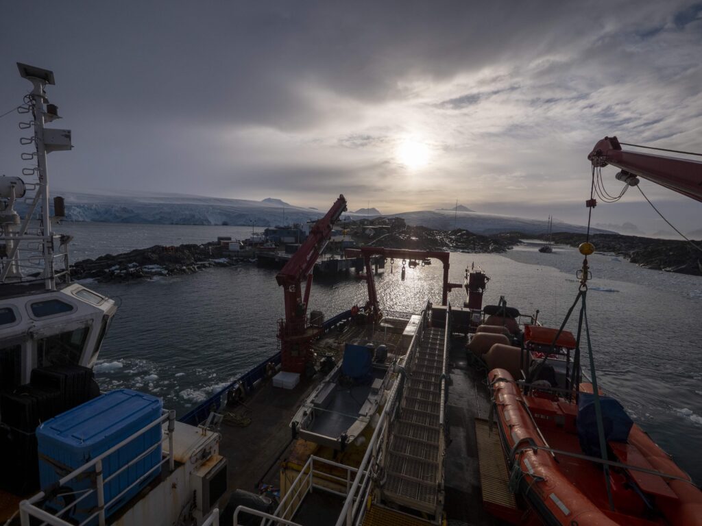 Scientists have discovered a compound in an Antarctic sea creature that showed promise against melanoma cells, raising hopes for future skin cancer treatments.