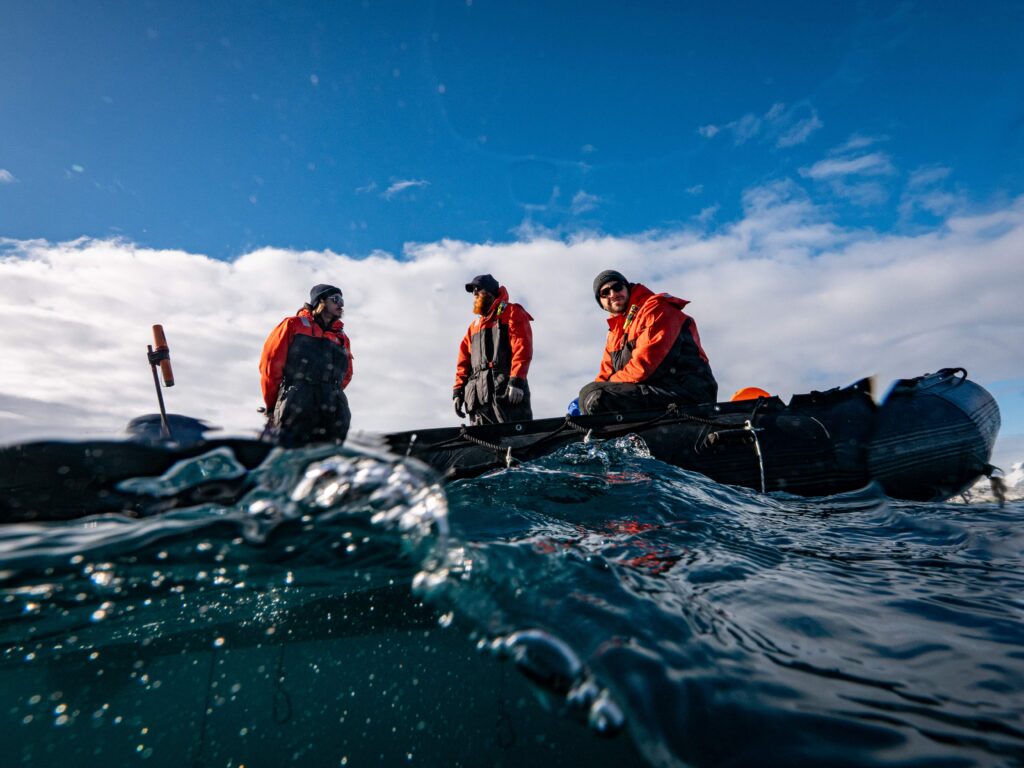 Scientists have discovered a compound in an Antarctic sea creature that showed promise against melanoma cells, raising hopes for future skin cancer treatments.