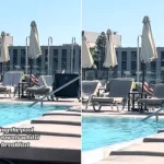A hotel worker in Rhodes has gone viral for clearing towels off "reserved" sunbeds every morning - and holidaymakers can't get enough of the crackdown on the sunbed wars.