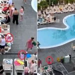 Holidaymaker watched in horror as parents sent speedy kids sprinting across the pool to grab the best sunbeds in a 'life or death' scramble at a four-star Tenerife hotel.