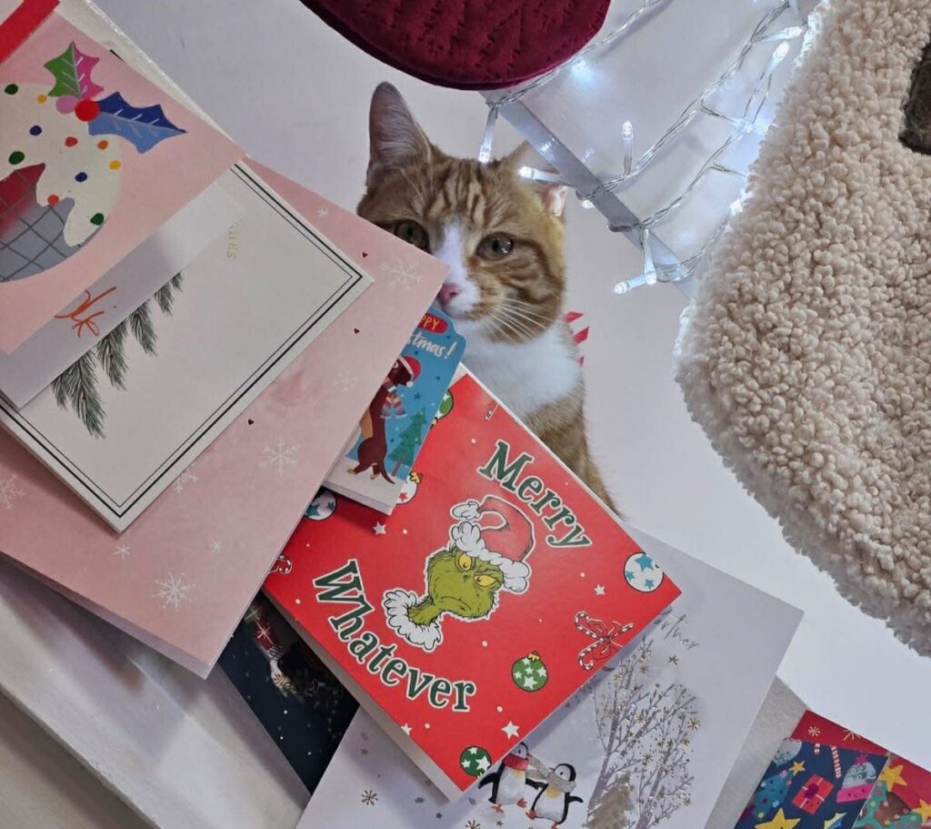 Gran, 54, finishes all her Christmas shopping seven months early, sticking to an £800 budget for seven family members by buying gifts all year round.