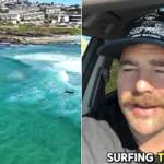 A bodyboarder came within one metre of a suspected 3.5m great white shark before racing along the beach to warn dozens of surfers to get out of the water.