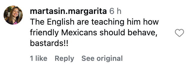A Mexico fan fell into a canal after boat-hopping to wave her flag at England supporters - who fished her out and celebrated with a singalong.