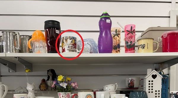 A "thrifting expert" has revealed how she spotted a Disney Cinderella mug on a charity shop shelf for just £1 - only to discover it was actually worth a cool £75.