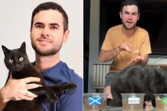 A "psychic" cat named Milu with a 100% record has predicted a shock World Cup exit for holders Argentina at the hands of minnows Cape Verde in Miami.
