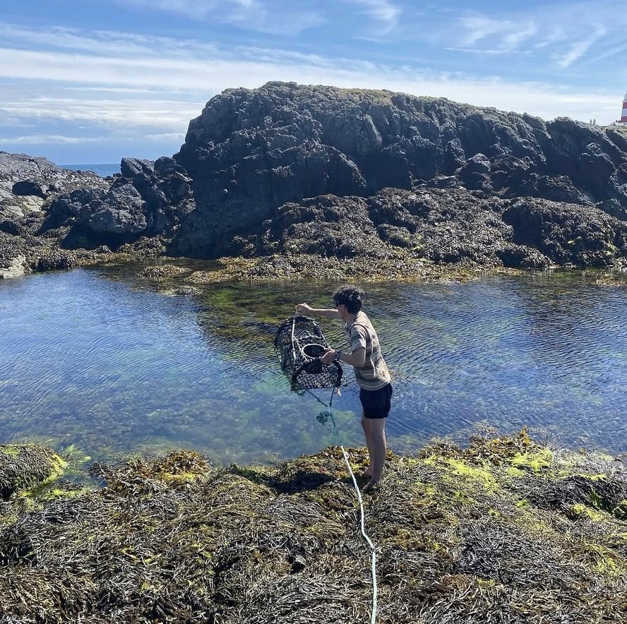 Couple ditch city life for a tiny off-grid Welsh island with just four residents and 500 sheep, saving half their salary thanks to rock-bottom living costs.