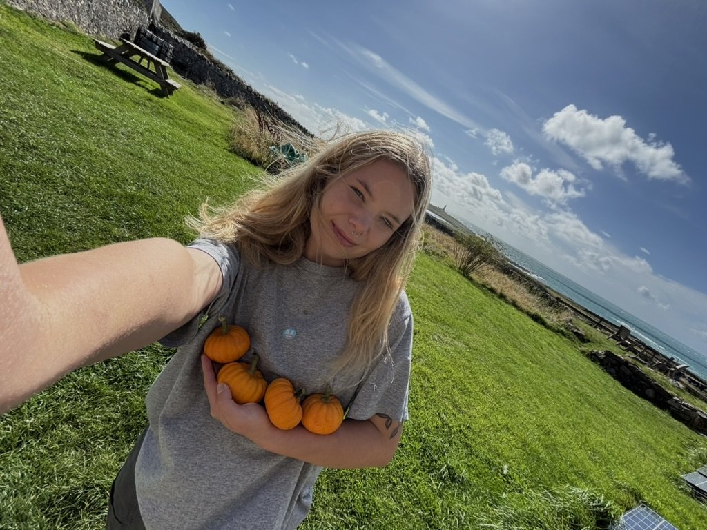 Couple ditch city life for a tiny off-grid Welsh island with just four residents and 500 sheep, saving half their salary thanks to rock-bottom living costs.