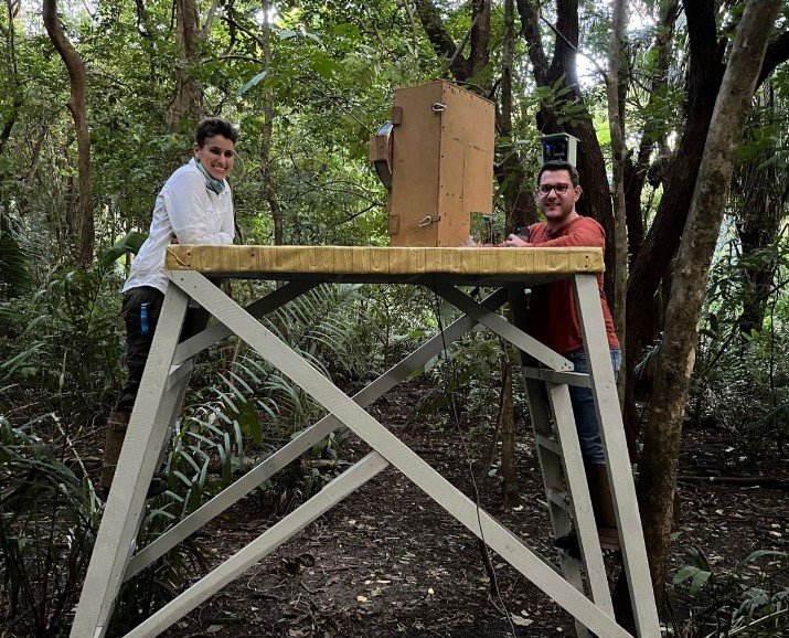 Wild monkeys are helping scientists train an AI facial-recognition system that can tell individual animals apart with more than 97% accuracy.