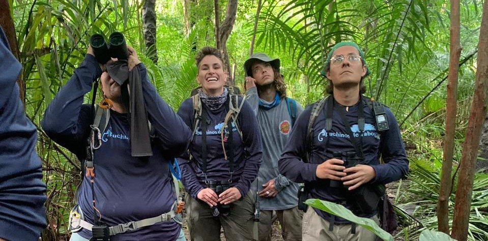 Wild monkeys are helping scientists train an AI facial-recognition system that can tell individual animals apart with more than 97% accuracy.