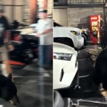 A baby black bear was caught on camera casually trotting straight through a group of stunned bikers outside a hotel - weaving between chairs and parked motorcycles.