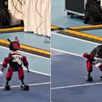 Tiny robot armed with milk bottles wins hearts with 'the world's saddest hop' - before being carried off by the scruff of its neck, legs flailing.