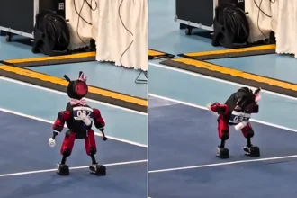 Tiny robot armed with milk bottles wins hearts with 'the world's saddest hop' - before being carried off by the scruff of its neck, legs flailing.