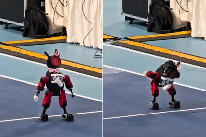 Tiny robot armed with milk bottles wins hearts with 'the world's saddest hop' - before being carried off by the scruff of its neck, legs flailing.