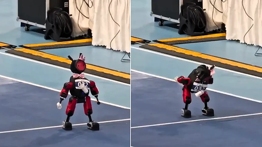 Tiny robot armed with milk bottles wins hearts with 'the world's saddest hop' - before being carried off by the scruff of its neck, legs flailing.