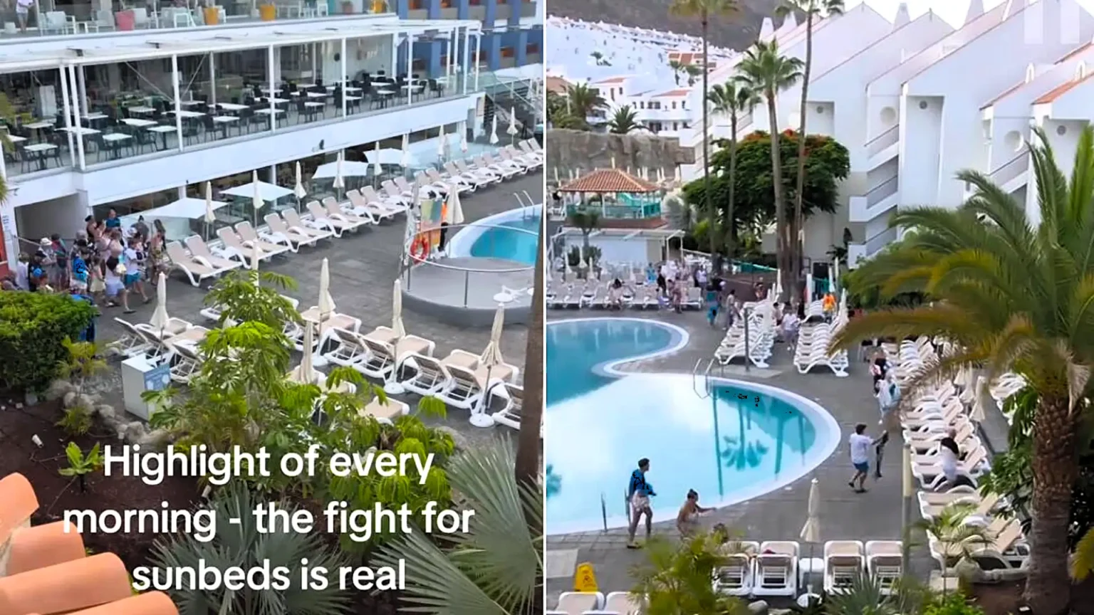 More than 100 tourists sprinted across a hotel poolside in a frantic scramble to grab the best sunbeds after queuing for over an hour at a hotel in Los Cristianos, Tenerife.