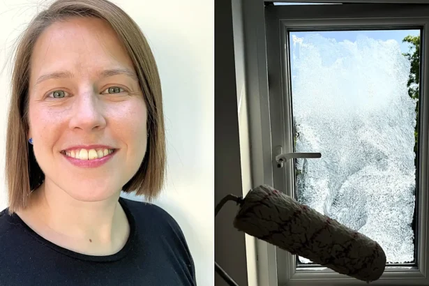 A Brit has revealed a fast and cheap heatwave hack that can keep homes cool for weeks by painting windows with Greek yoghurt - but prepare for the stench.