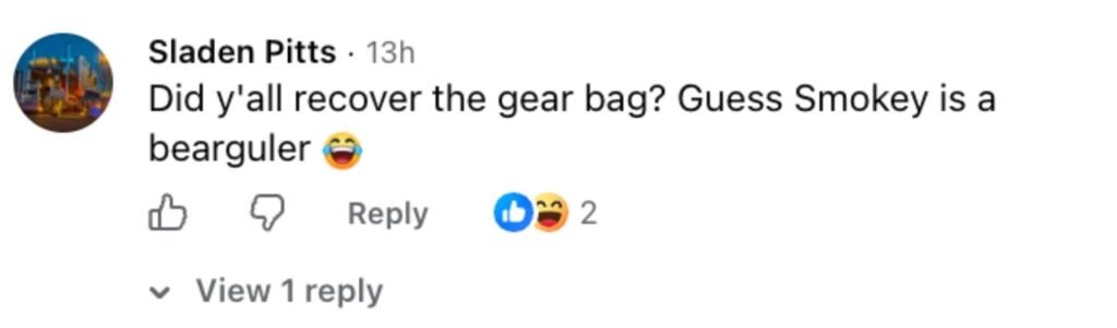 Social media comment on the post of A cheeky bear has been caught on camera strolling into a fire station before making off with a firefighter's gear bag.