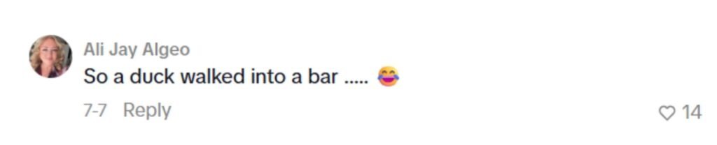 Social media comment on the post of Family of ducks waddle into a pub and set up camp in the pool room - and staff are baffled because there is no water anywhere nearby.