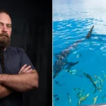 Great white sharks are already lurking in British waters and more could be on the way, a marine biologist has warned - with photographic proof just a matter of time.