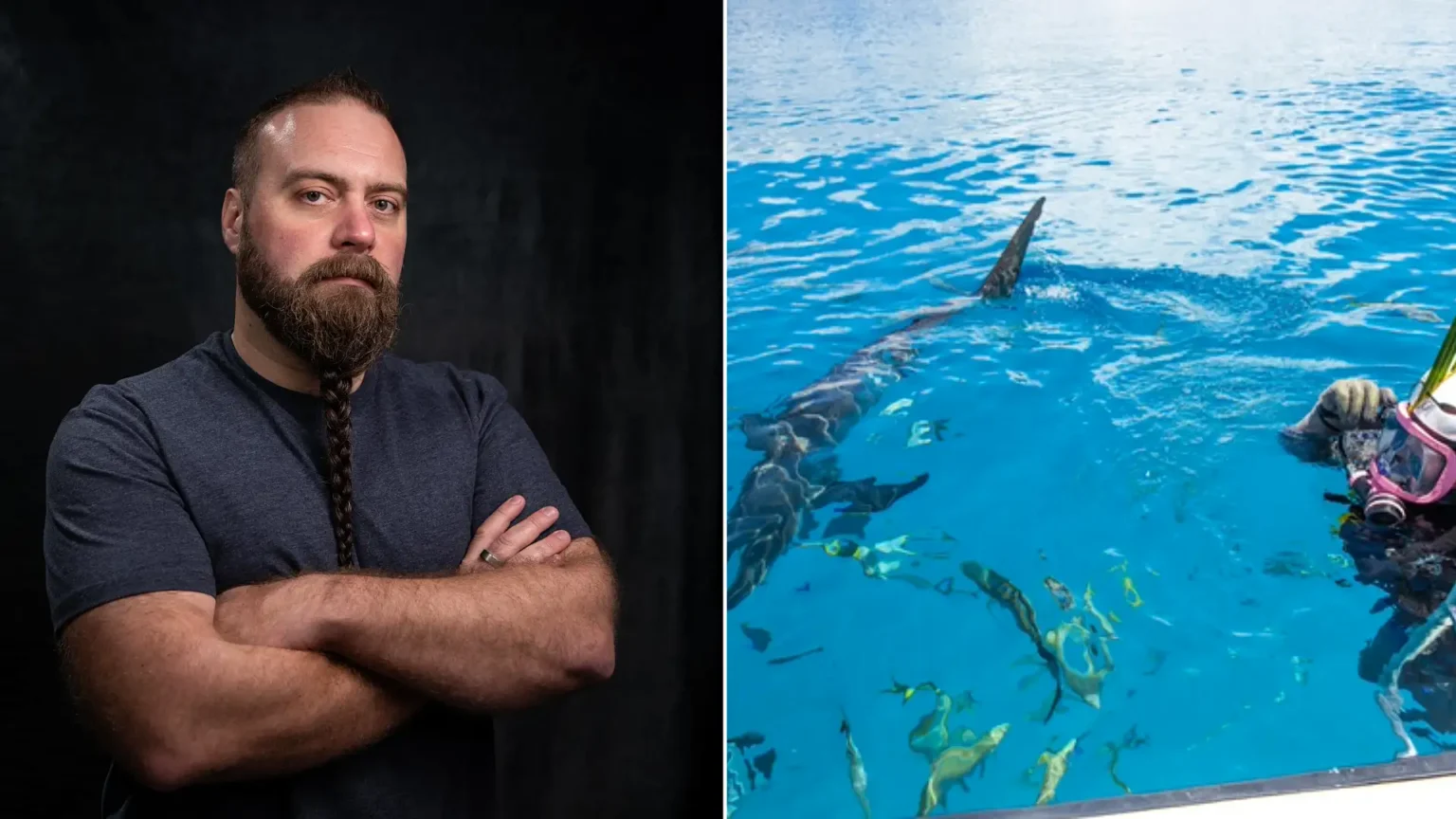 Great white sharks are already lurking in British waters and more could be on the way, a marine biologist has warned - with photographic proof just a matter of time.
