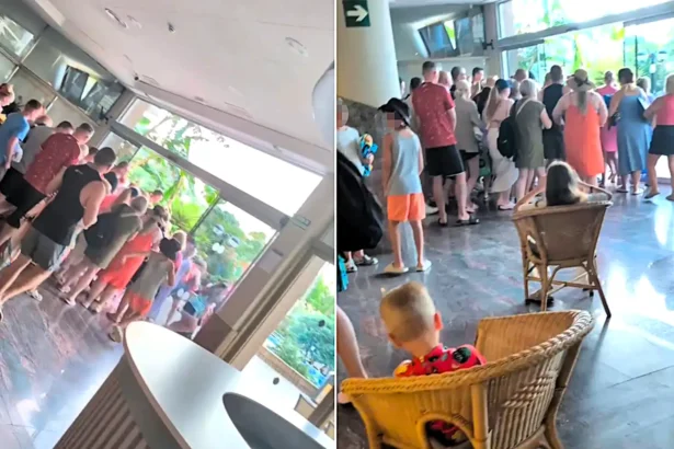 A British holidaymaker has slammed the daily sunbed scramble at a Spanish hotel as absolute carnage - with guests queuing from 8am and one man falling in the rush.