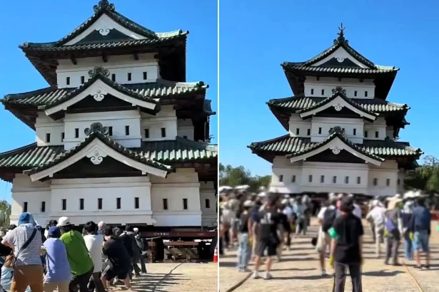 Hundreds of people haul a 400-tonne Japanese castle two metres in a giant tug-of-war - and 4,000 are expected to take a turn on the ropes.