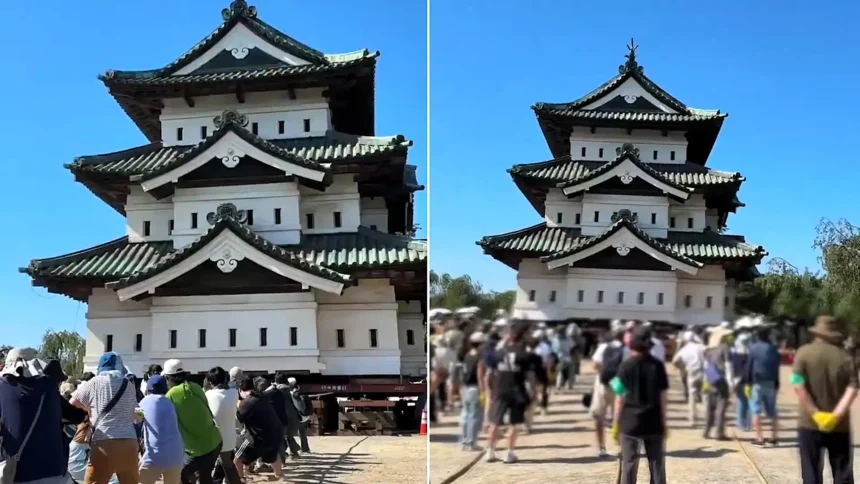 Hundreds of people haul a 400-tonne Japanese castle two metres in a giant tug-of-war - and 4,000 are expected to take a turn on the ropes.