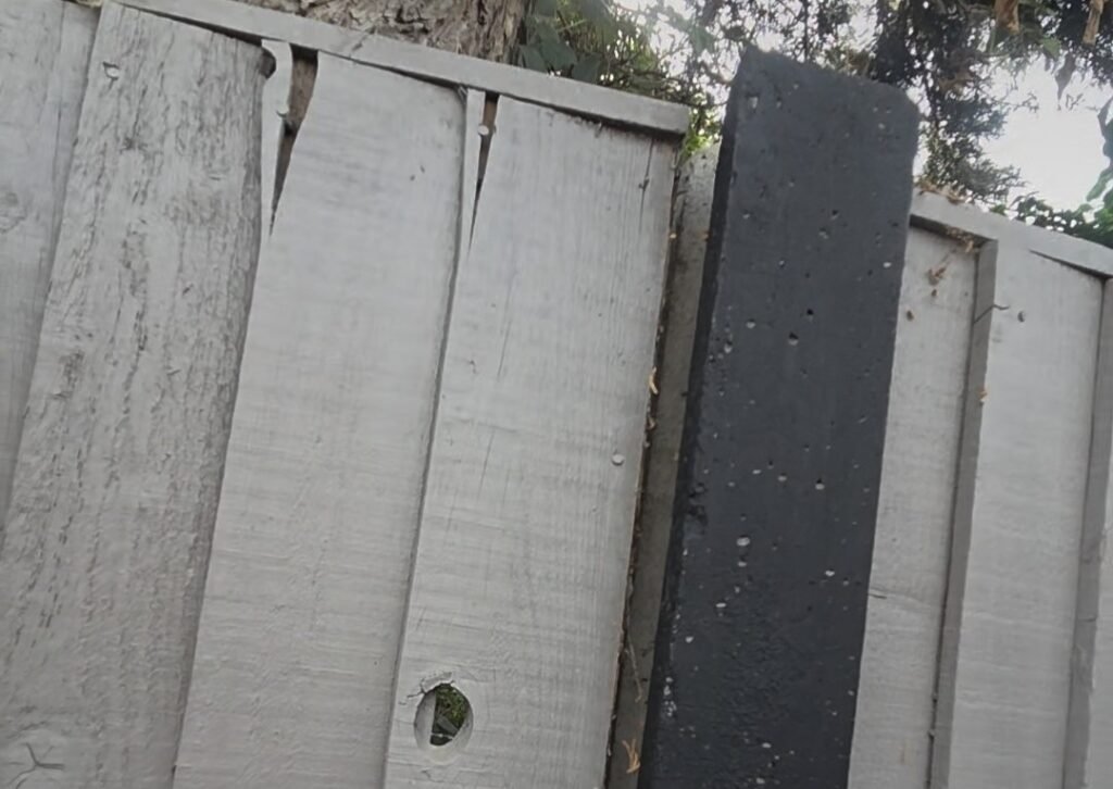A furious mum says her neighbour's towering tree is wrecking her fence, staining her patio with bird poo and blocking four hours of sunlight a day.