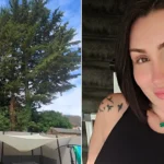 A furious mum says her neighbour's towering tree is wrecking her fence, staining her patio with bird poo and blocking four hours of sunlight a day.