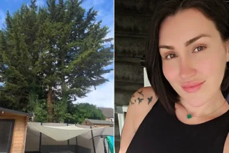 A furious mum says her neighbour's towering tree is wrecking her fence, staining her patio with bird poo and blocking four hours of sunlight a day.