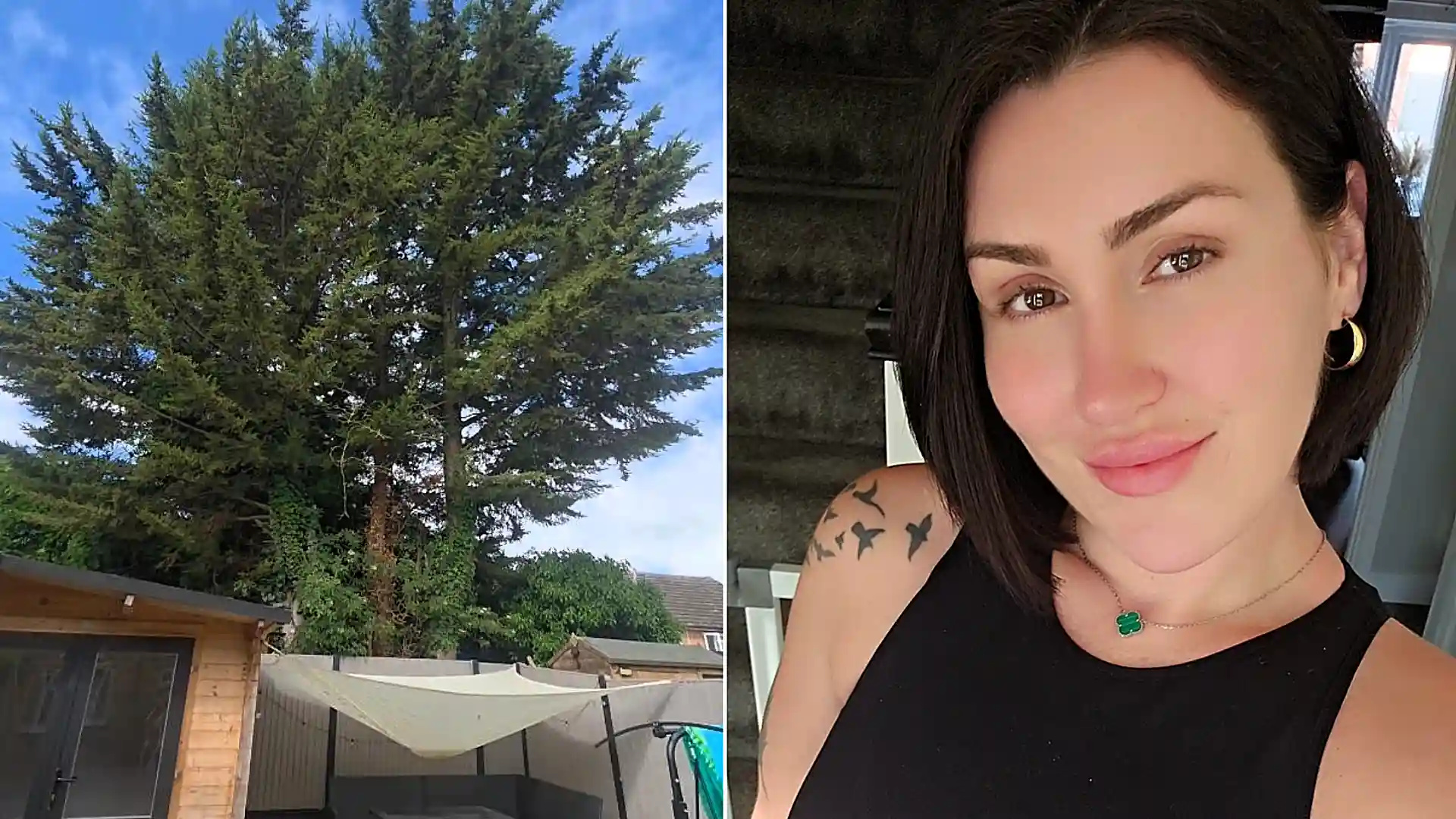 A furious mum says her neighbour's towering tree is wrecking her fence, staining her patio with bird poo and blocking four hours of sunlight a day.