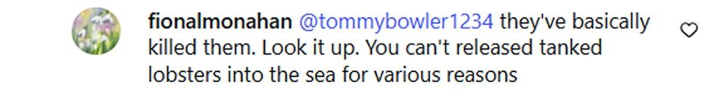 TV presenter Noel Edmonds has sparked a backlash after buying live lobsters from a farm shop and releasing them into the sea off the Isle of Man.