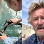 TV presenter Noel Edmonds has sparked a backlash after buying live lobsters from a farm shop and releasing them into the sea off the Isle of Man.