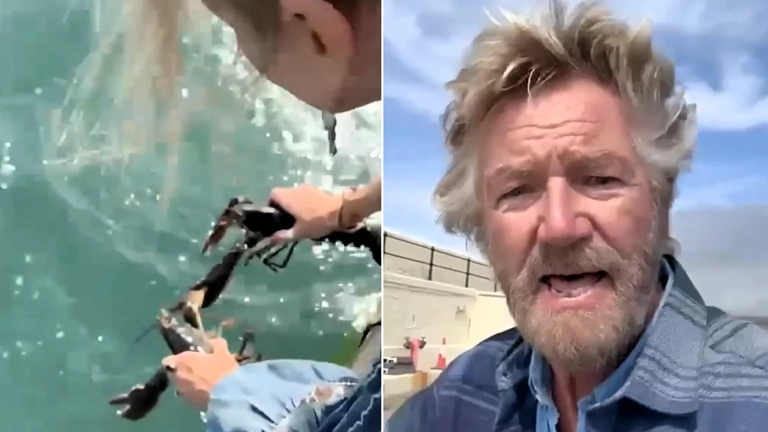 TV presenter Noel Edmonds has sparked a backlash after buying live lobsters from a farm shop and releasing them into the sea off the Isle of Man.