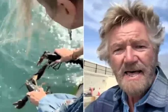 TV presenter Noel Edmonds has sparked a backlash after buying live lobsters from a farm shop and releasing them into the sea off the Isle of Man.