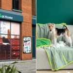 Pets at Home has launched its own pet insurance service offering lifetime veterinary fee cover of up to £15,000 - with qualifying dental treatment included across three levels.