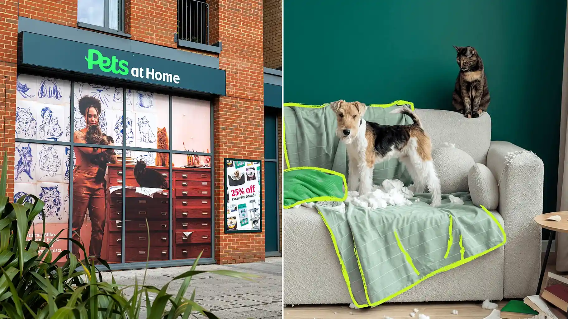 Pets at Home has launched its own pet insurance service offering lifetime veterinary fee cover of up to £15,000 - with qualifying dental treatment included across three levels.