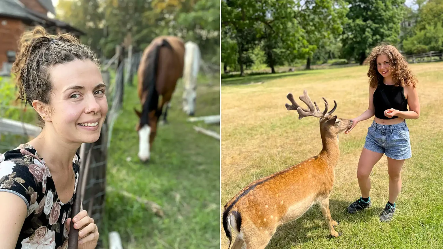 A real-life Doctor Dolittle claims she can talk telepathically with animals - from household pets to dolphins and even insects.