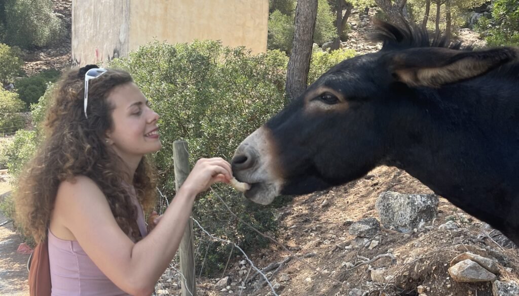 A real-life Doctor Dolittle claims she can talk telepathically with animals - from household pets to dolphins and even insects.