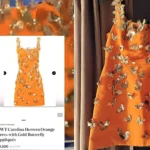 Savvy thrifter reveals how she snapped up a butterfly-print Carolina Herrera gown worth nearly £3,700 for just £11 in a charity shop - after spotting the brand label.