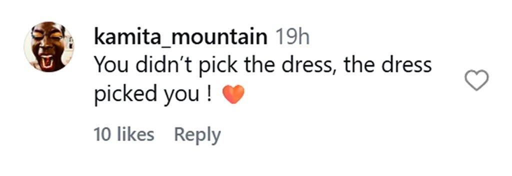 Social media comment on the post of Savvy thrifter reveals how she snapped up a butterfly-print Carolina Herrera gown worth nearly £3,700 for just £11 in a charity shop - after spotting the brand label.