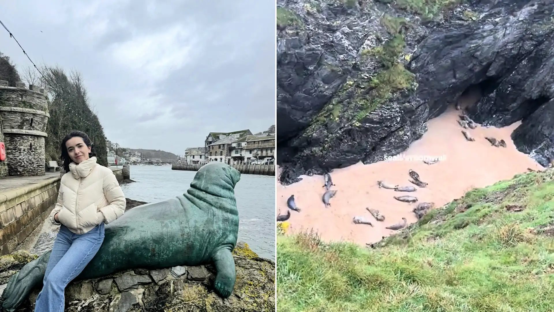 A student was left stunned after stumbling across around 40 playful seals gathered together inside a hidden cave in Cornwall - calling it a moment she'll never forget.