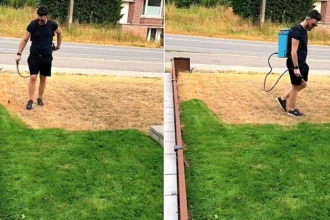 Homeowner reveals a cheap seaweed hack that turns drought-hit brown lawns instantly lush green in seconds - without repeatedly soaking them with water amid hosepipe bans.