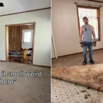 A couple who bought their dream fixer-upper were left gagging after ripping up the carpets to discover the floors underneath were saturated in urine.